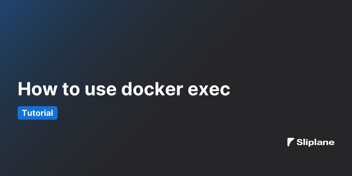 How to use docker exec